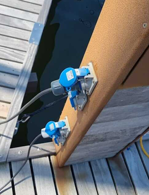 electrapaalbru